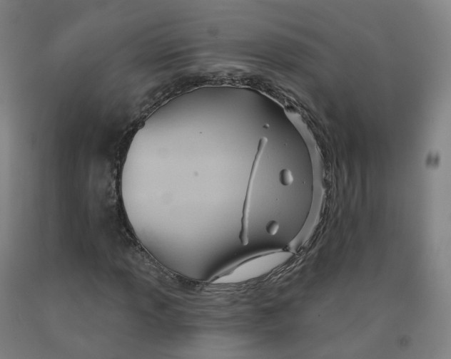 X0000091991013200709271443