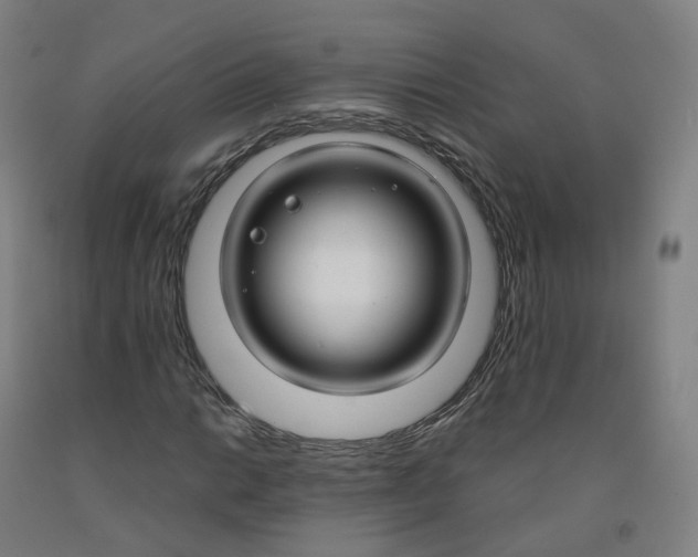 X0000091991014200709271443