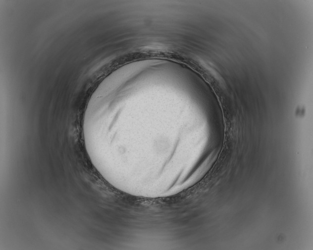 X0000091991015200709271443