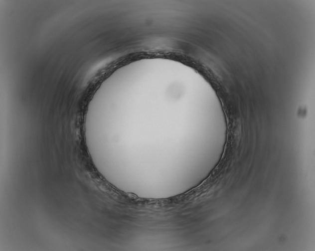 X0000091991016200709271443