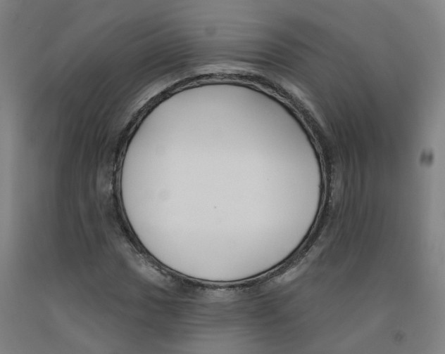 X0000091991017200709271443