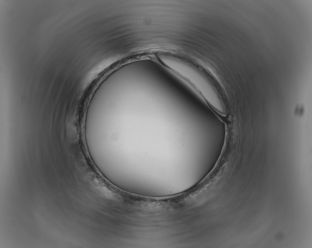 X0000091991018200709271443