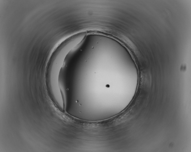 X0000091991020200709271443