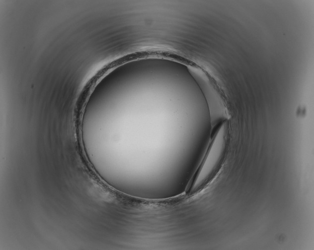 X0000091991022200709271443