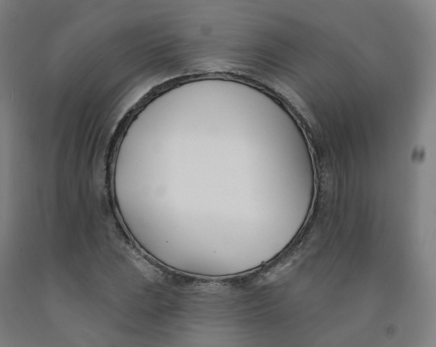 X0000091991023200709271443