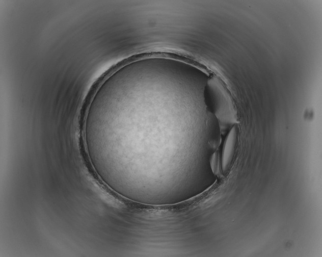 X0000091991024200709271443