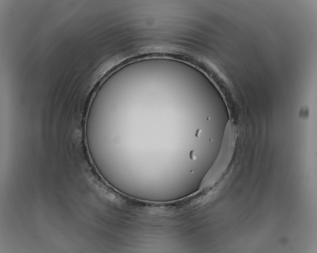 X0000091991025200709271443