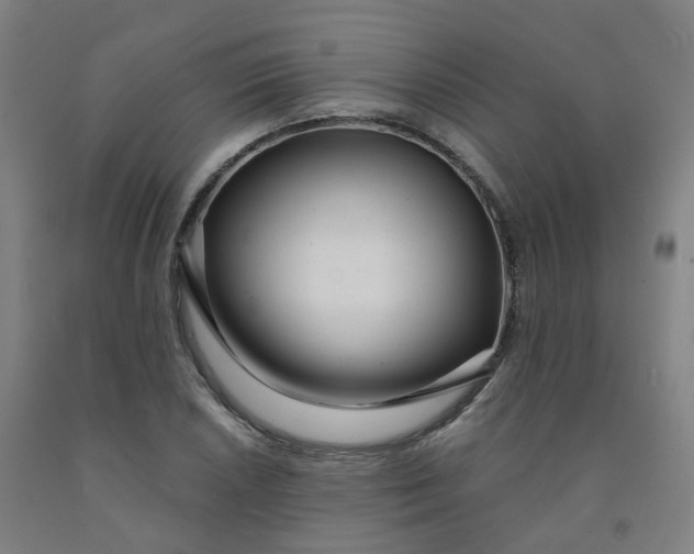 X0000091991026200709271443