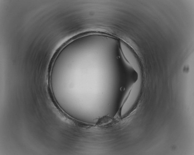 X0000091991028200709271443