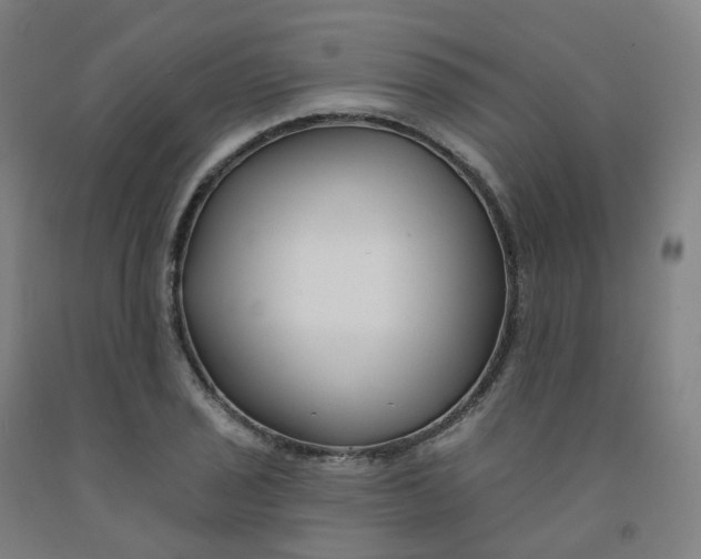 X0000091991029200709271443