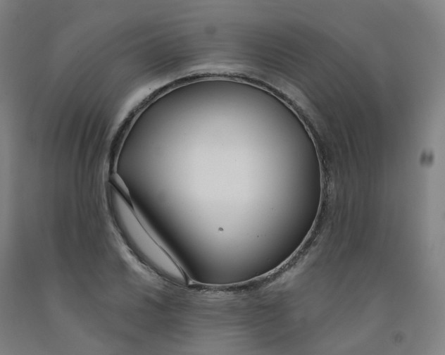 X0000091991030200709271443