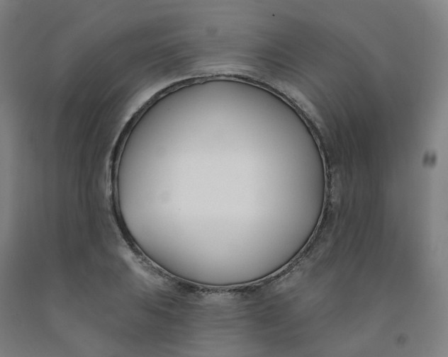 X0000091991031200709271443