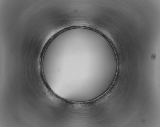 X0000091991032200709271443