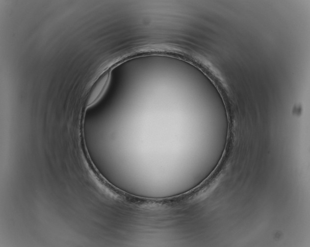 X0000091991033200709271443