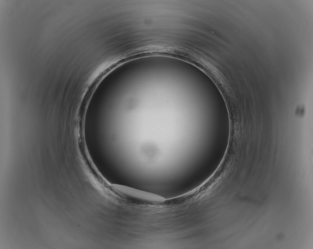 X0000091991034200709271443