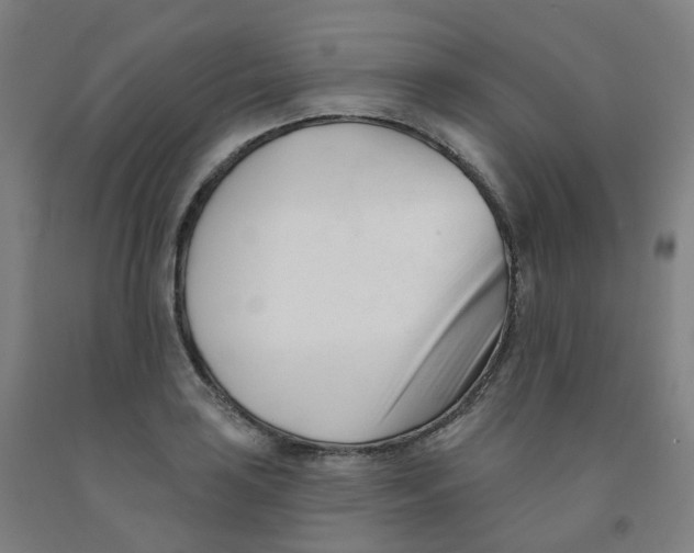 X0000091991035200709271443