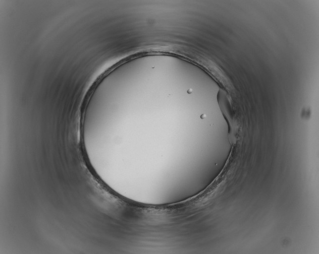 X0000091991036200709271443