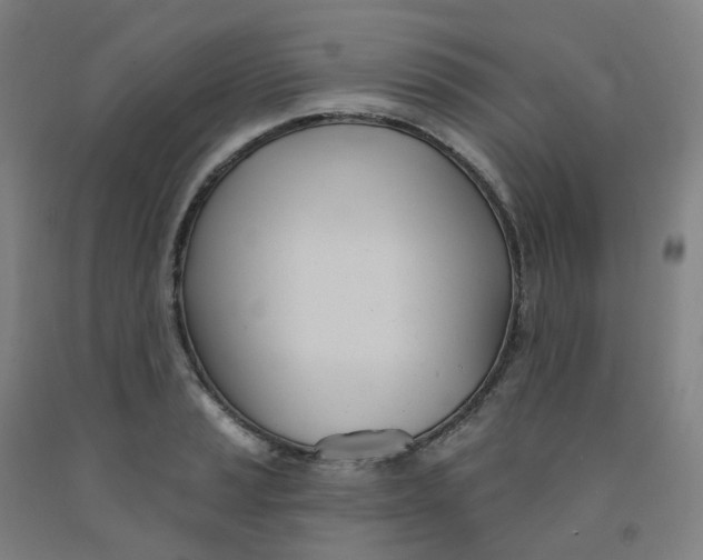 X0000091991037200709271443