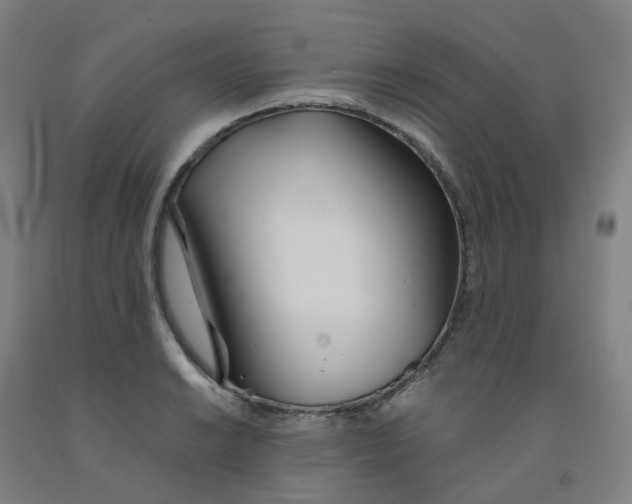 X0000091991038200709271443