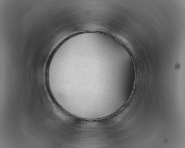 X0000091991039200709271443