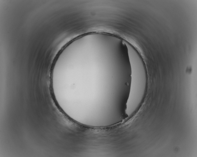 X0000091991040200709271443