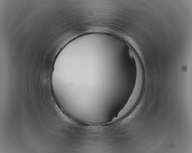 X0000091991041200709271443