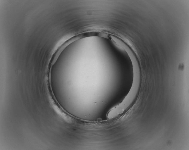 X0000091991042200709271443