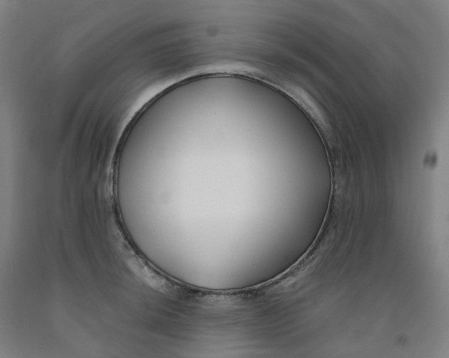 X0000091991044200709271444