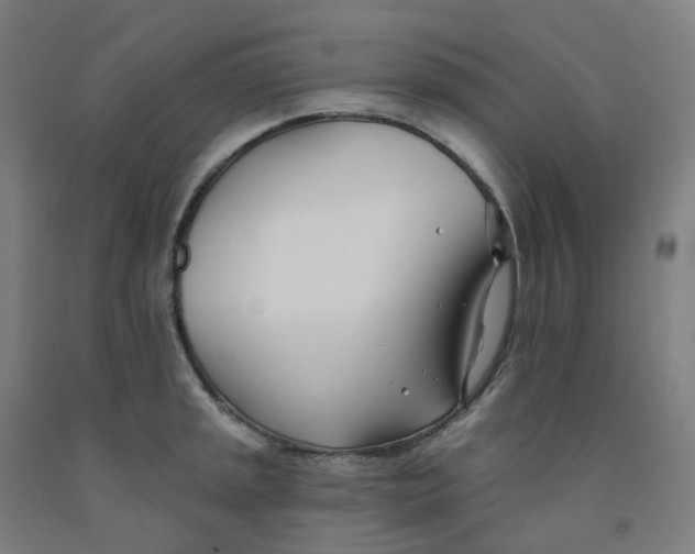 X0000091991045200709271444