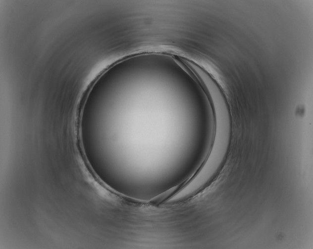 X0000091991046200709271444