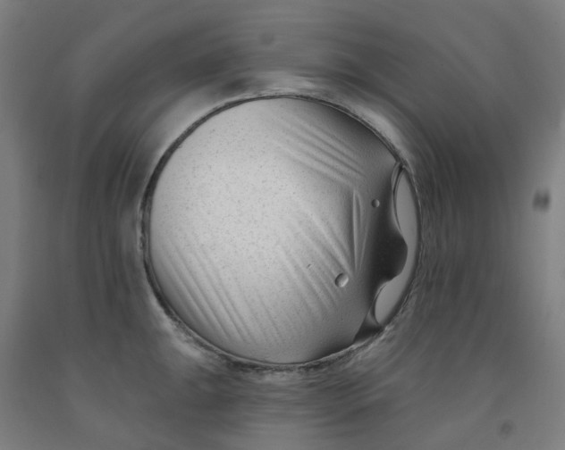 X0000091991047200709271444