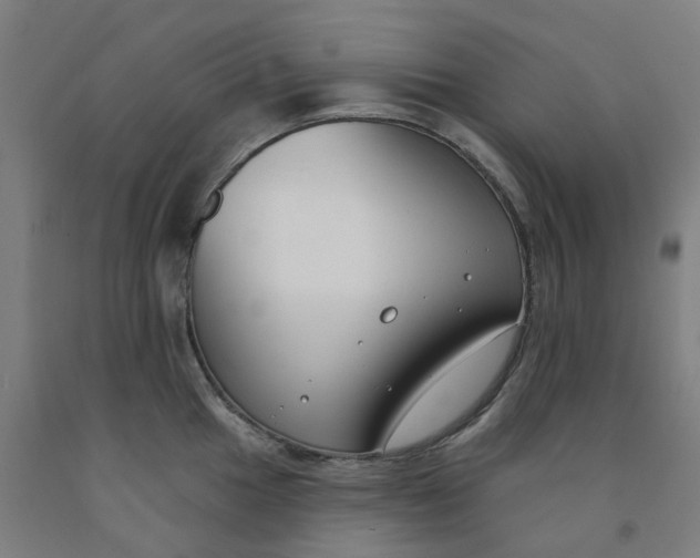 X0000091991049200709271444