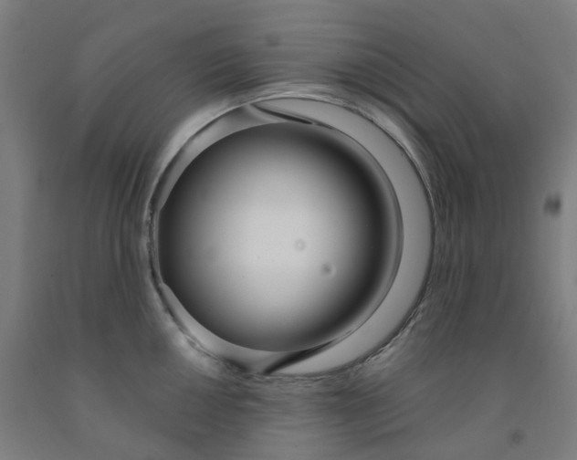 X0000091991050200709271444