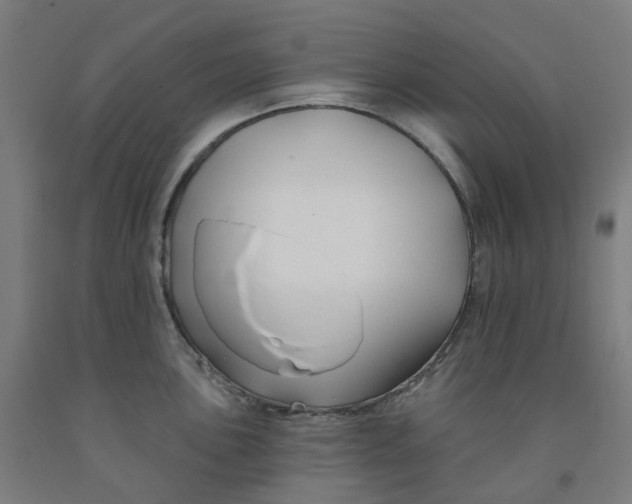 X0000091991051200709271444