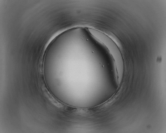 X0000091991052200709271444