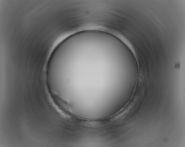 X0000091991053200709271444