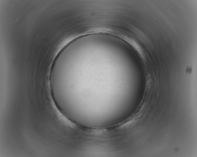 X0000091991055200709271444