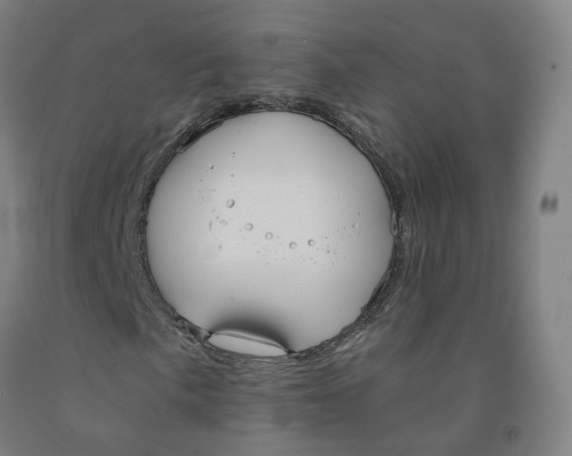 X0000091991057200709271443