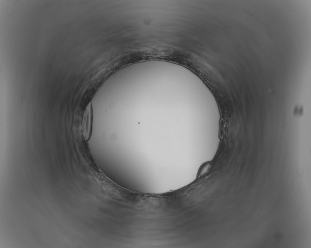 X0000091991058200709271443