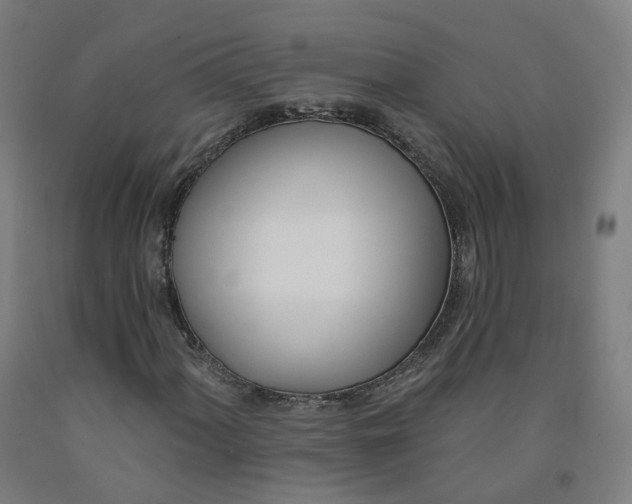 X0000091991060200709271443