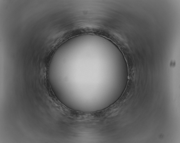 X0000091991061200709271443