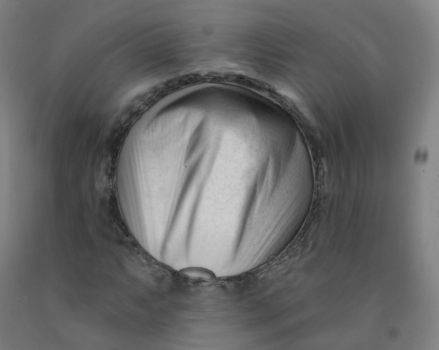 X0000091991063200709271443