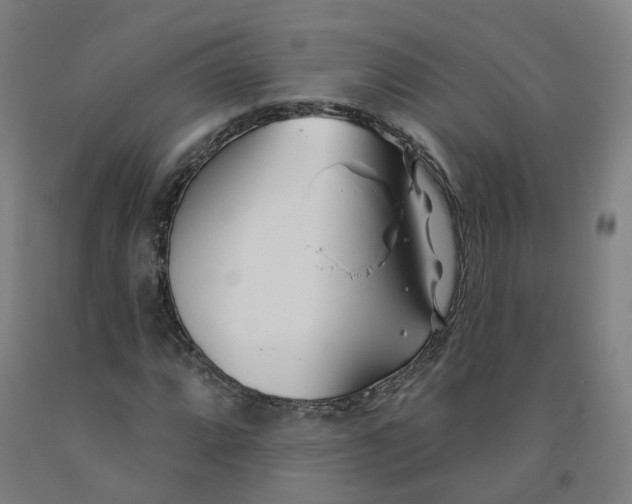 X0000091991064200709271443