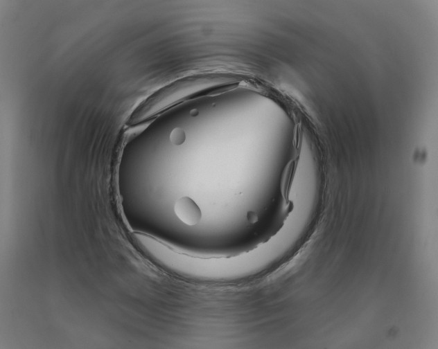 X0000091991065200709271443