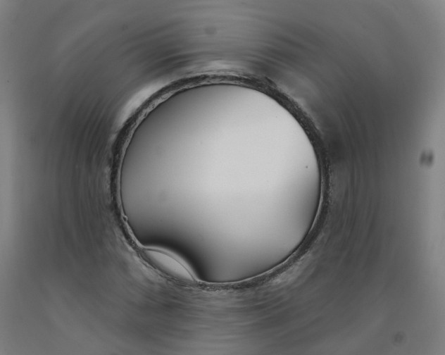 X0000091991066200709271443