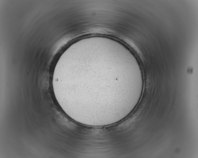 X0000091991067200709271443