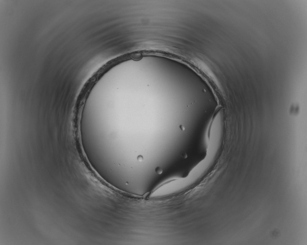 X0000091991068200709271443