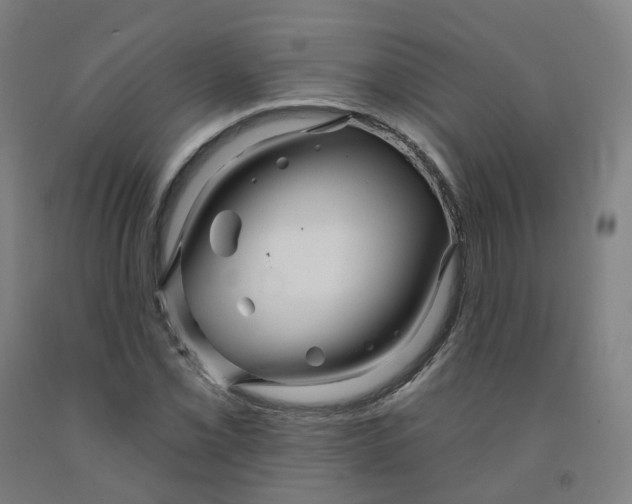 X0000091991069200709271443