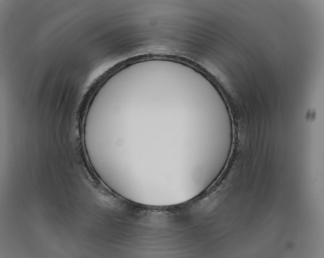 X0000091991070200709271443