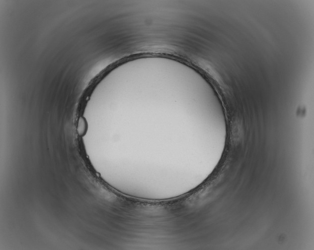 X0000091991071200709271443